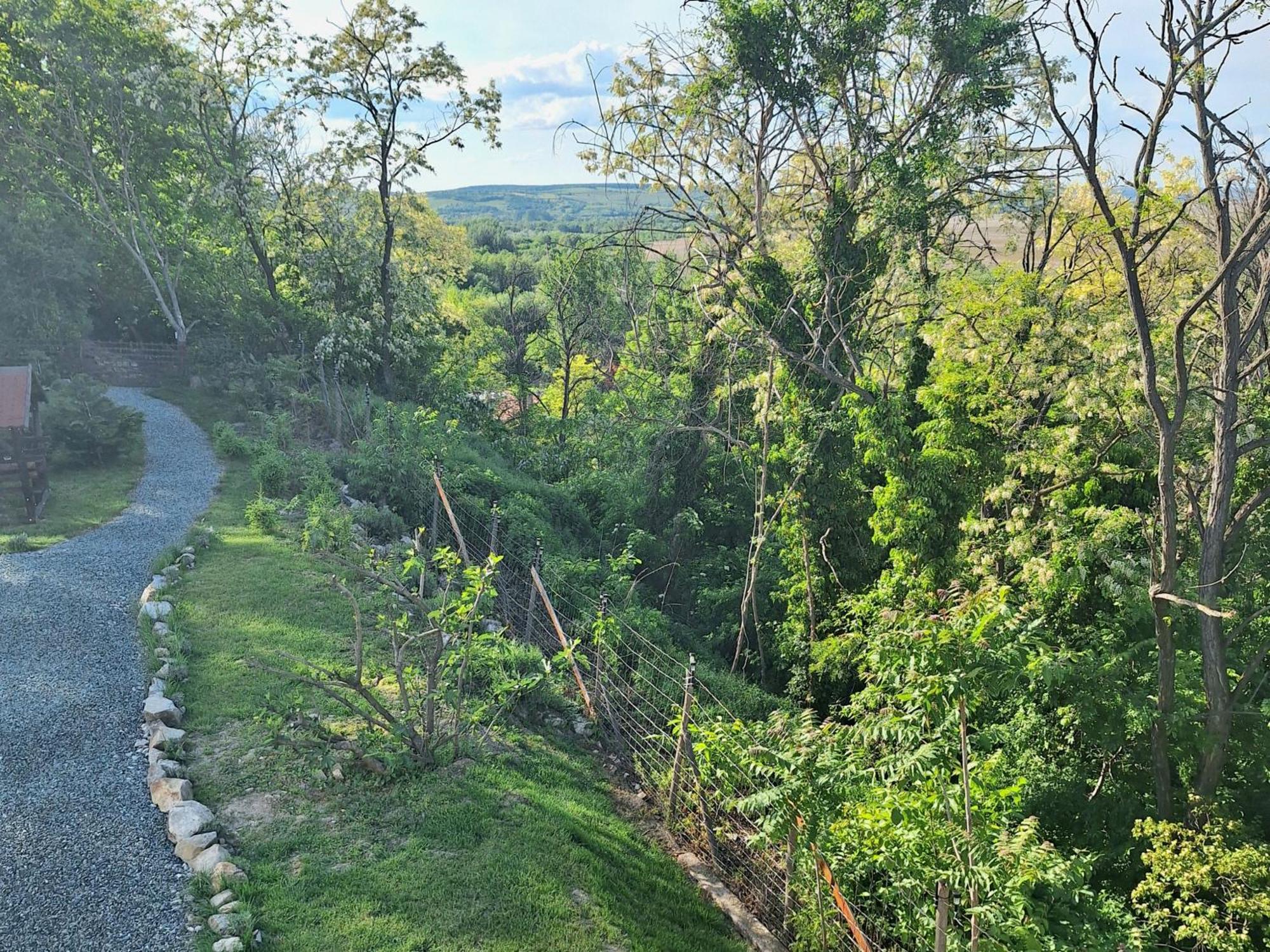 Holling Apartman Fertőboz Dış mekan fotoğraf